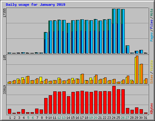 Daily usage for January 2019