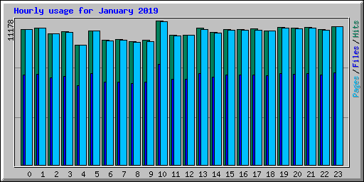 Hourly usage for January 2019