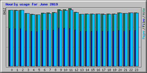 Hourly usage for June 2019